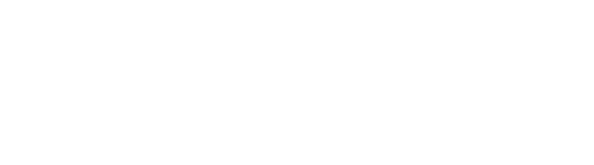 International stillbirth alliance