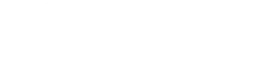 international stillbirth alliance