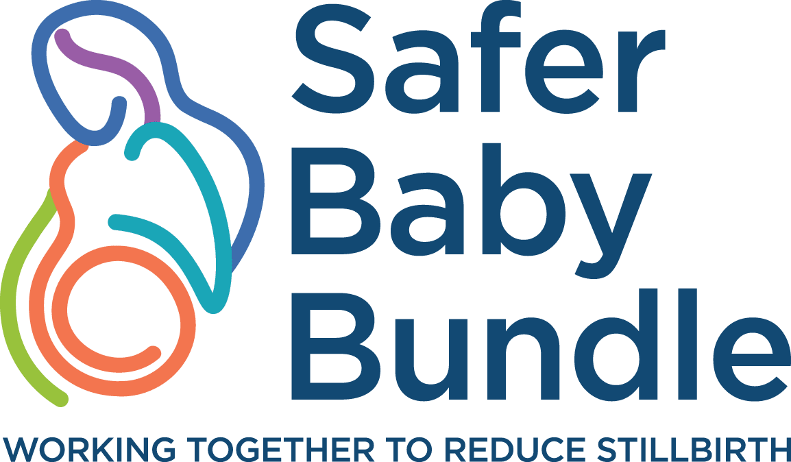 Safer Baby Bundle eLearning course *NEW* (updated August 2024)