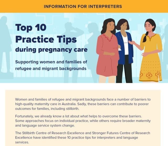 Interpreters 10 Tips Fact Sheet thumbnail