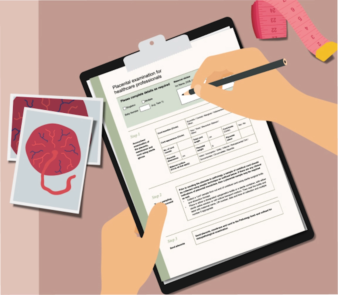 Placental examination and documentation following perinatal death
